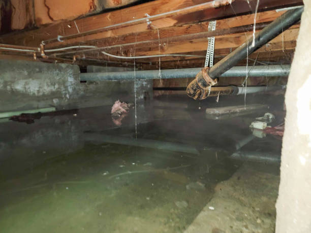 Best 24/7 water damage repair  in West Linn, OR
