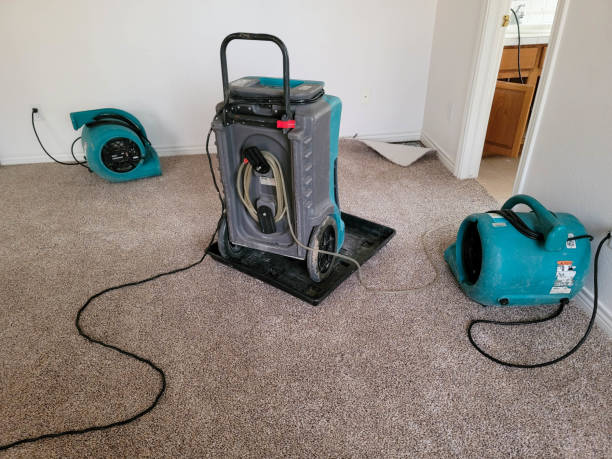 Sewage cleanup and water damage restoration in West Linn, OR