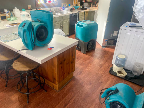 Best Flood damage cleanup  in West Linn, OR