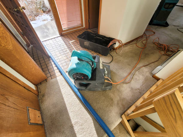 Water damage restoration insurance claims in West Linn, OR