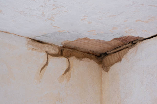 Reliable West Linn, OR Water damage restoration Solutions