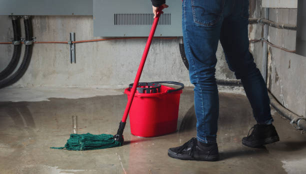Best Water damage cleanup near me  in West Linn, OR