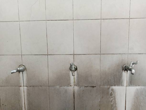 Best Professional water damage repair  in West Linn, OR