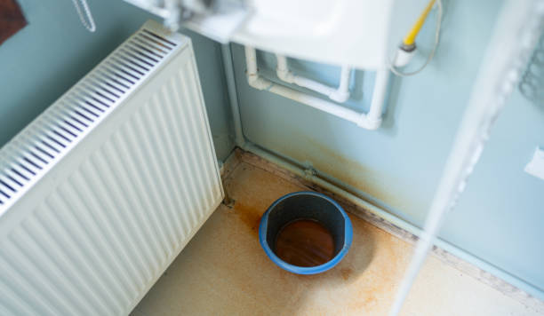 Best Carpet water damage restoration  in West Linn, OR